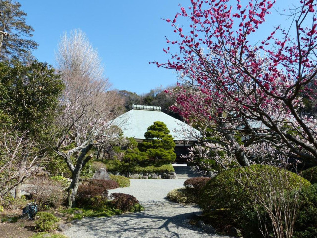 浄妙寺